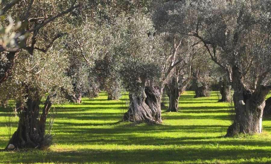 Apartamento Filoxenia House Marousi -Private Parking- Atenas Exterior foto